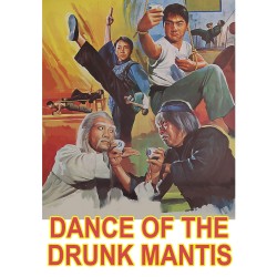Mens Dance Of The Drunk Mantis Regular Fitted Vest Top 