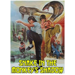 Mens Snake In The Monkeys Shadow Regular Fitted Vest Top 